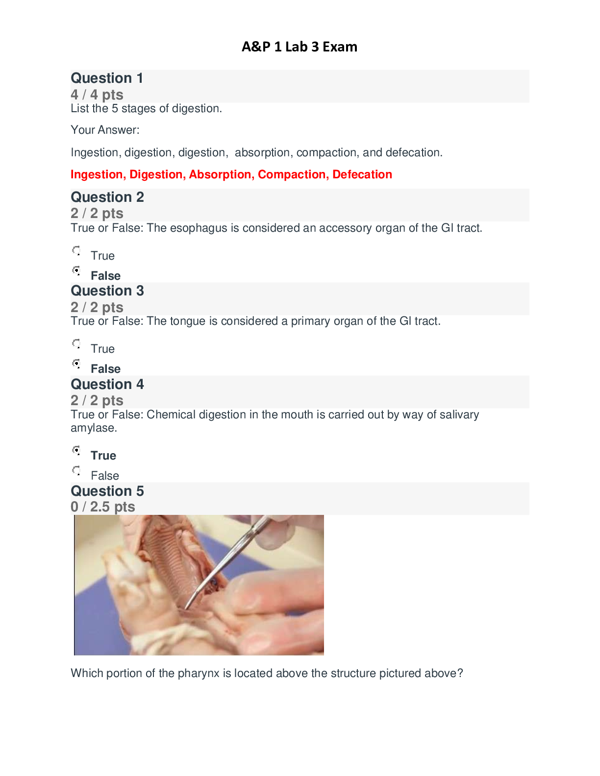 Preview image for BIOD 151 (A & P 1) LAB 3 EXAM QUESTIONS AND ANSWERS RATED A+ (Portage Learning)